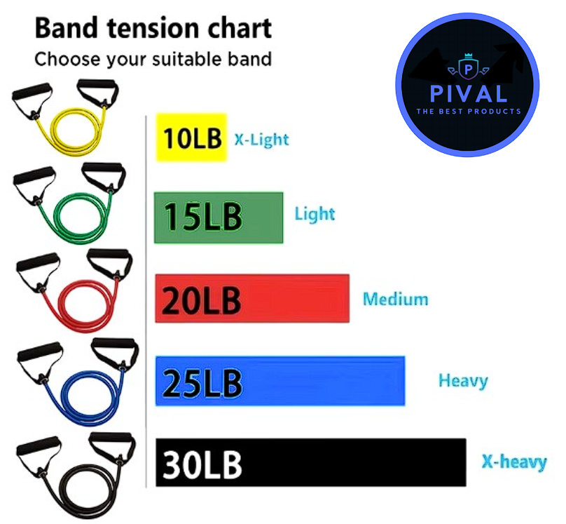 Bands With Handles / Bandas de resistencia